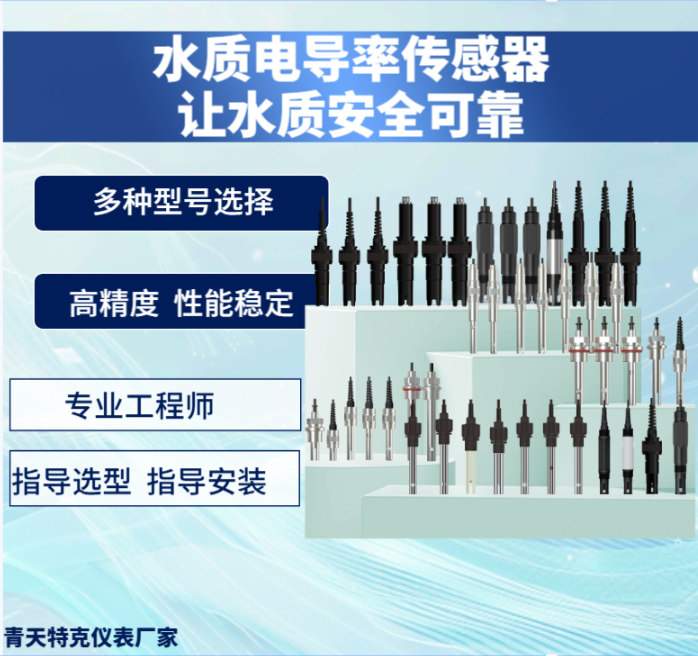 電導率傳感器1 電導率傳感器1